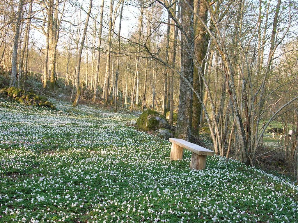 Wismens Natur & Fiske Krogsered Экстерьер фото